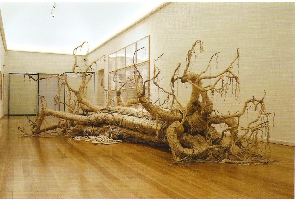 Arame e corda 
220 x 680 x 450 cm