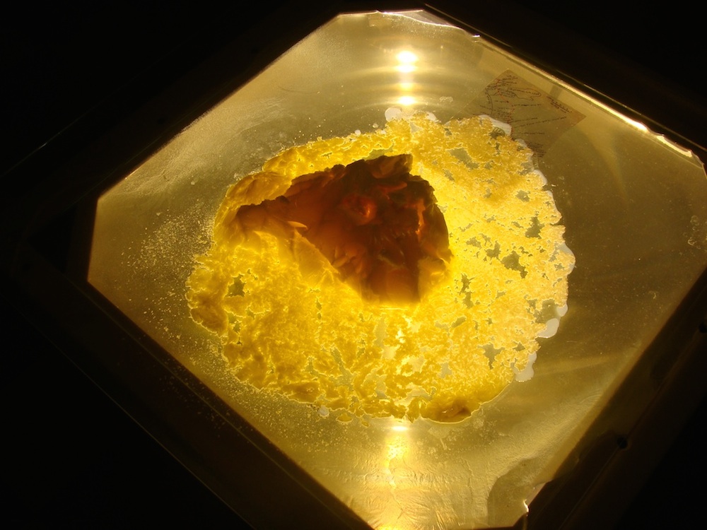 Réplicas em manteiga de três montanhas sagradas do Tibete: Kailash / Nojin Kangsang / Nyainqêntanglha; Impressão s/ acetato: pequeno mapa utilizado secretamente por Alexandra David-Néel numa das suas viagens pelo Tibete (cortesia da Fundação Alexandra David-Néel); Retroprojector e contraplacado.