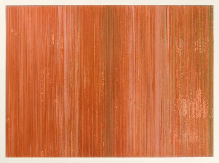 Lápis de cor, pigmentos e gesso sobre papel.
76x56cm