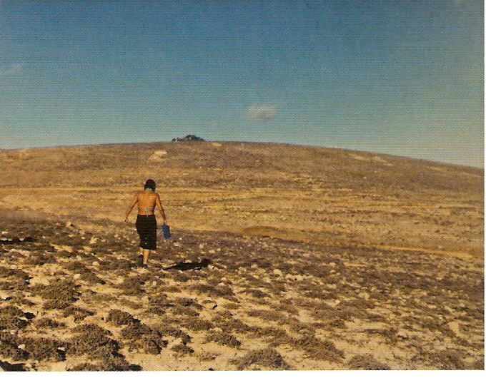 C-Print, Montada em Pvc e Moldura de madeira, 300X1000cm (montada)