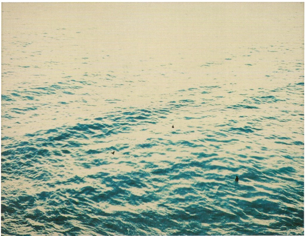 C-Print, Montada em Pvc e Moldura de madeira, 300X1000 cm (montada)