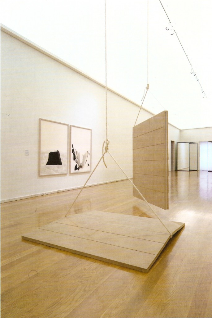 Madeira, corda, roldanas, tinta esmalte, altura variável 
270 x 180 cm