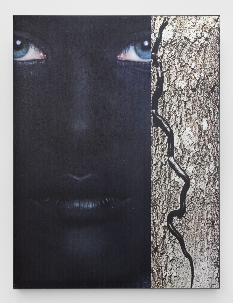 Impressão UV, acrílico e gesso sobre tela 
160 x 121 x 5 cm