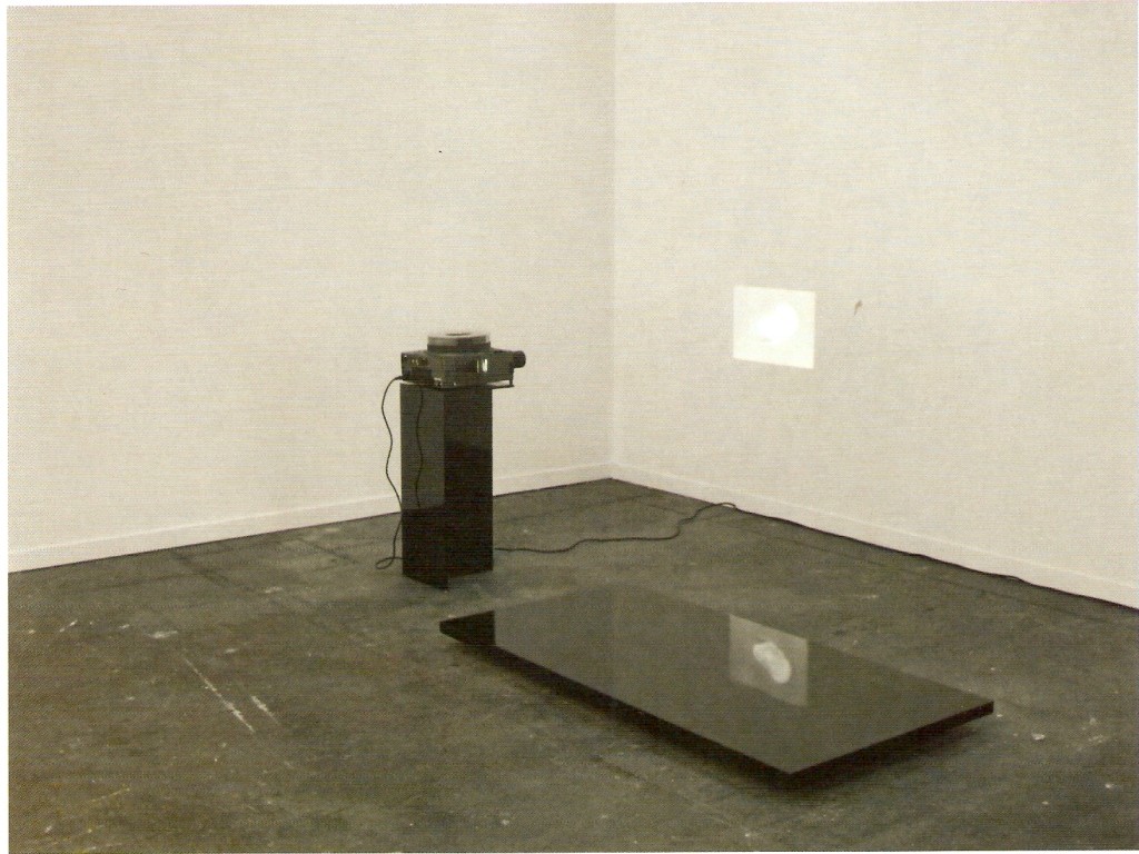 Projeção de 80 negativos, p/b, com temporizador, plinto de madeira lacado a esmalte e resina
acrílica, dimensões variáveis, ed.1

Sculpture (Persian War / War of Independence), 2010
Acrílico, esmalte e resina acrílica sobre madeira, 160 x 100 x 40 cm