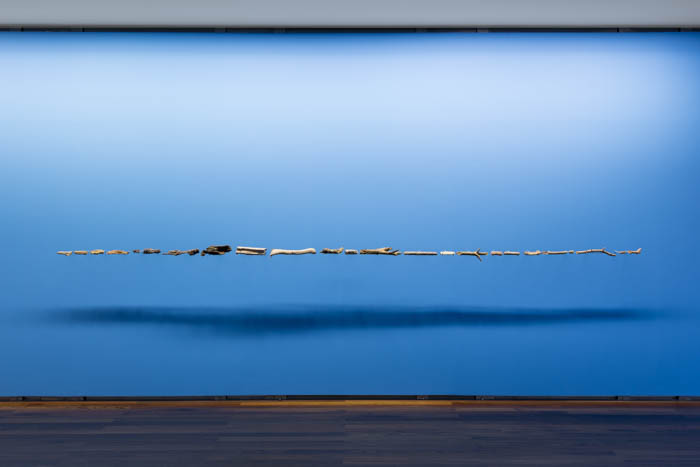 Galhos de árvores, fósseis de galhos de árvores, e dispositivo de suspensão em metal
500 cm em linha