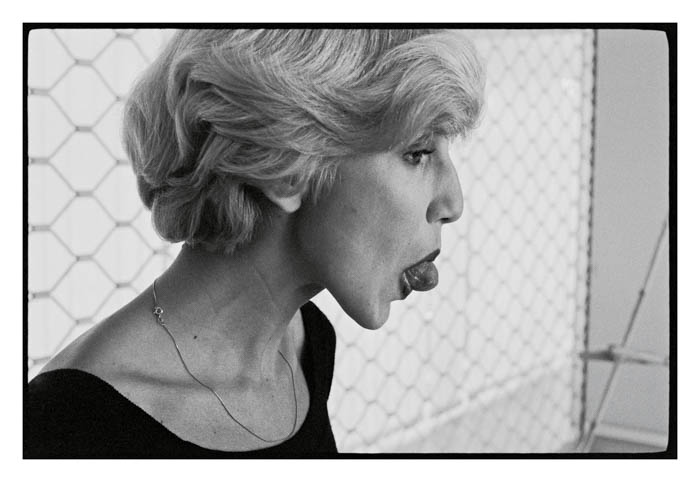 Todas as imagens são impressões a jato de tinta. As dimensões das imagens variam entre 18,8 e 29 cm (altura) e 19,2 e 29 cm (largura)