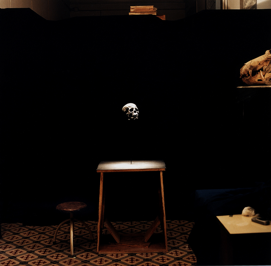 JMG+PP - MACROCEPHALY