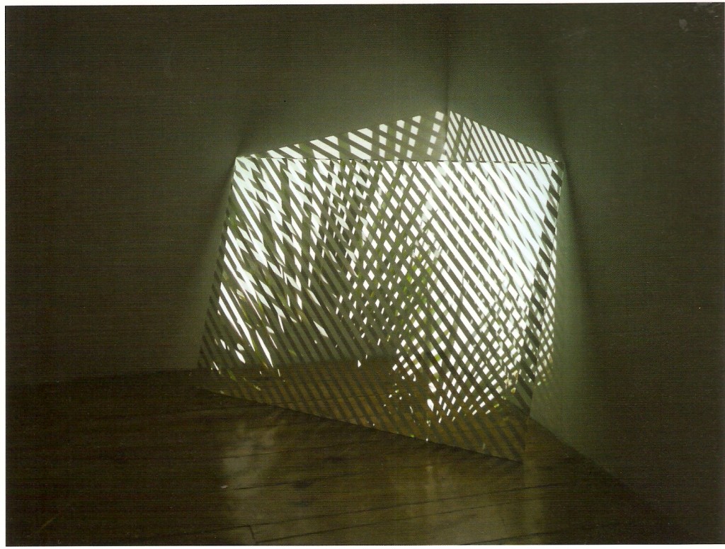 Projecção Vídeo DVD (pal), cor, vidro, som mono, 0:38 min (looped)