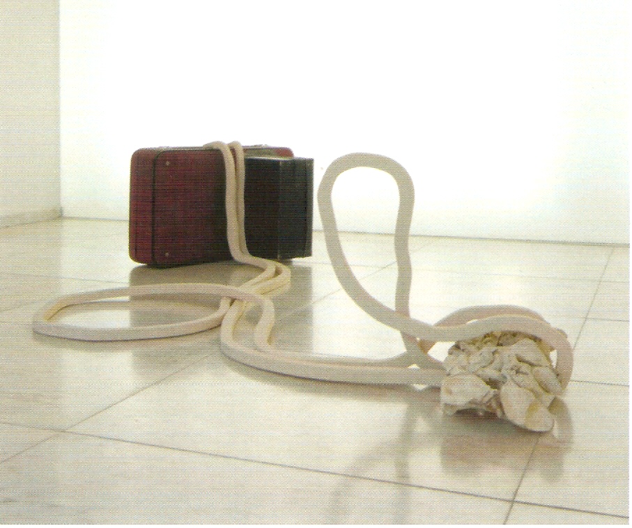 Malas encontradas, jornais, contraplacado marítimo, tinta acrílica, ossos