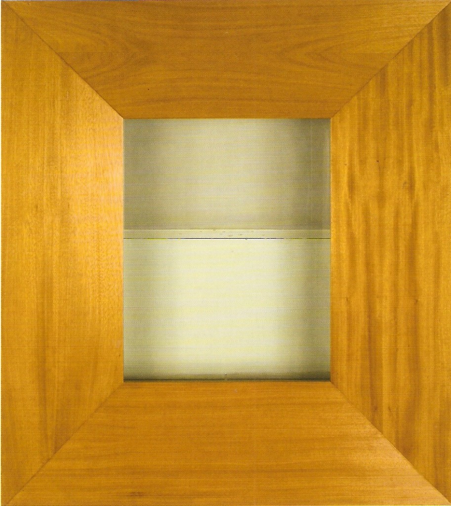 Moldura de madeira, contentor de água, bomba de água e bomba de ar.