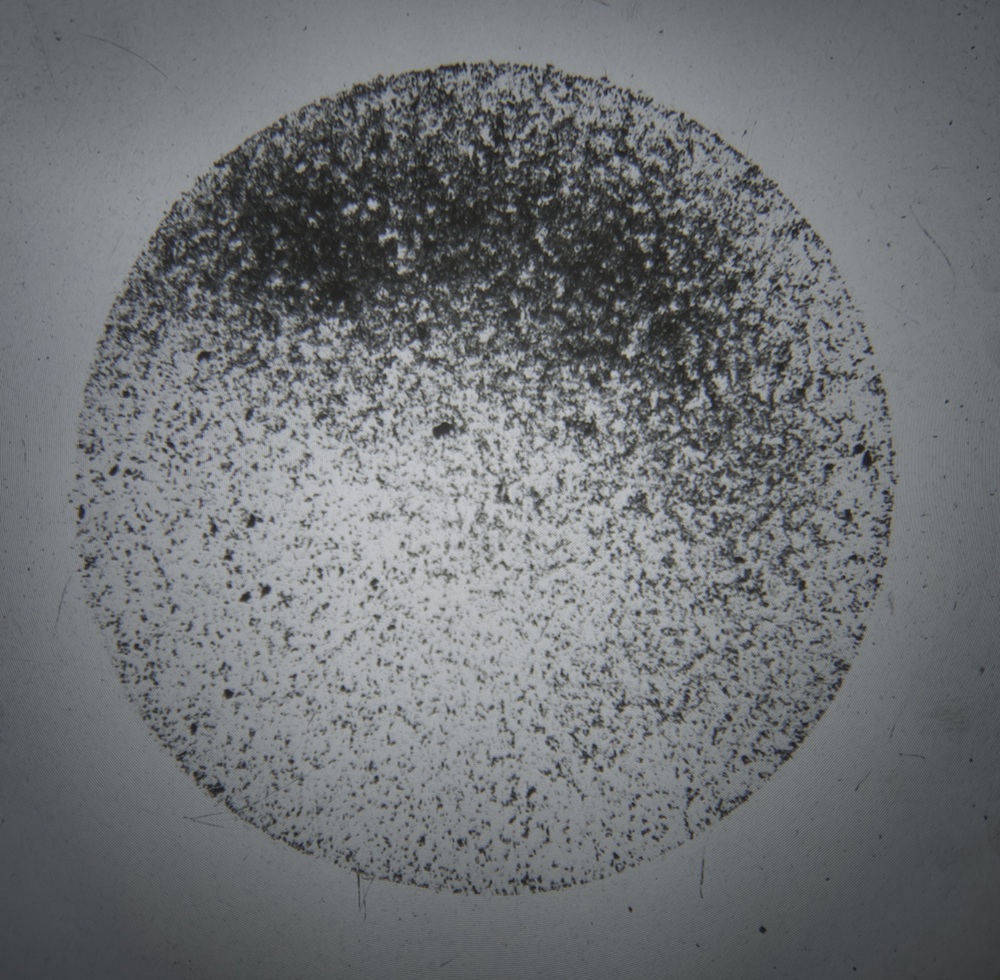 Oito placas de vidro - quatro c/ goma arábica e quatro c/ pó. Retroprojector e contraplacado. 
Esta instalação envolve a participação dos assistentes de sala, que de meia em meia hora apresentam as oitos luas.