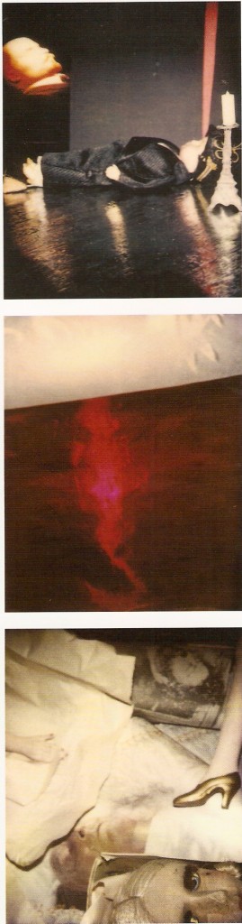 Polaroid – Fujichrome
124x100,5cm
(Cortesia Galeria Andrea Baginsky