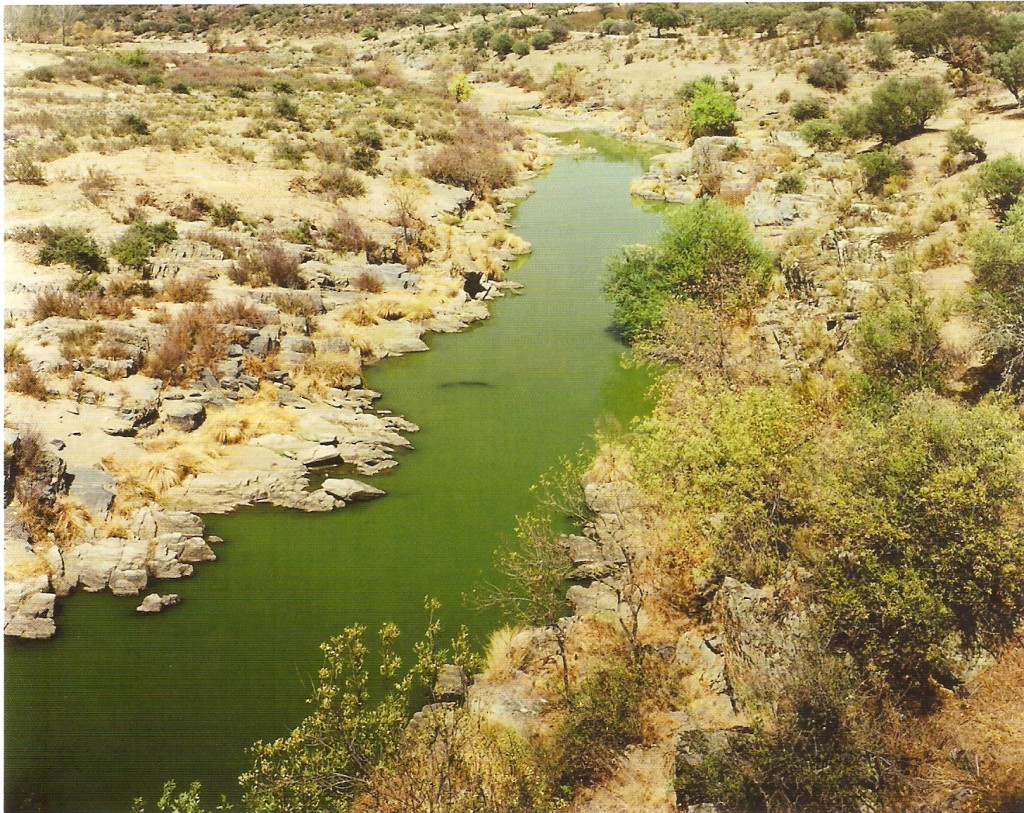 Fotografia, prova lightjet, impressão digital em papel fotográfico, 120 x 94 cm