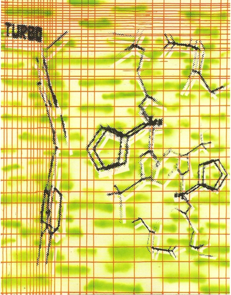 Acrílico s/tela
146x114cm