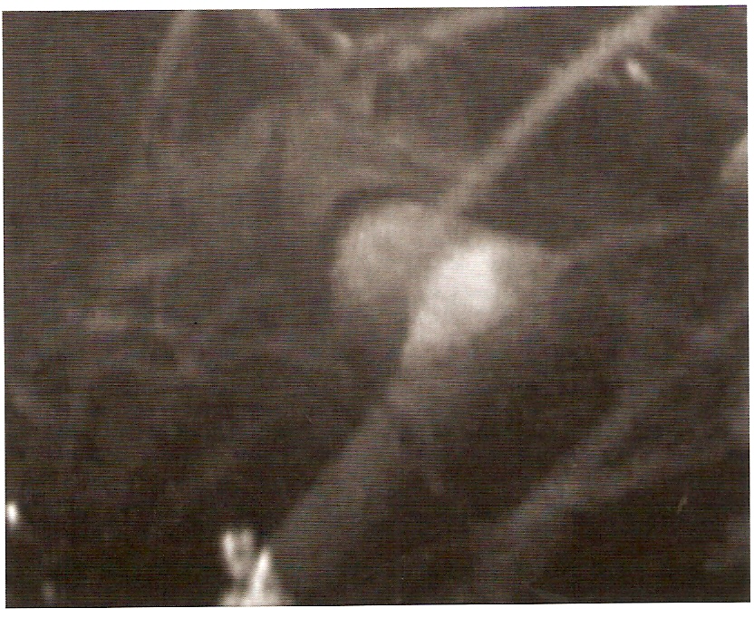 DV, PAL, imagem p/b, stereo, 5’