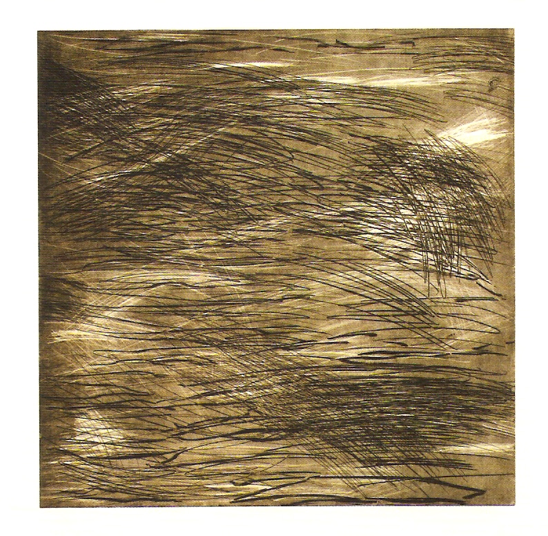 Gravura, água-tinta, água-forte e madeira negra,
124x114 cm