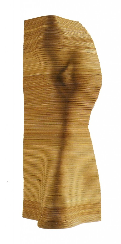 Contraplacado de Tola
123x42x29cm