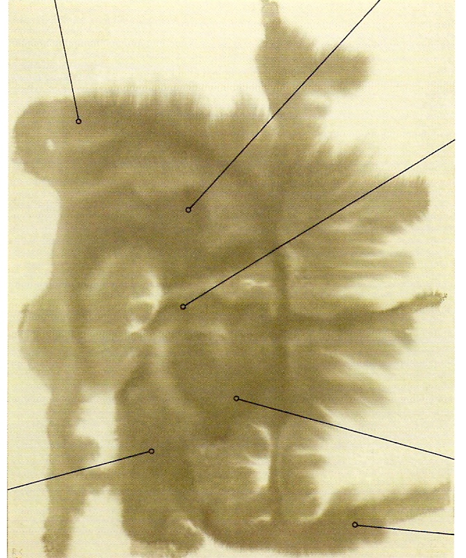 Tinta da China s/ papel
47x37cm