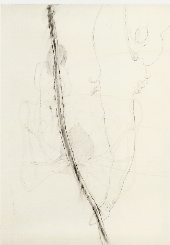 Tinta-da-china e Colagem s/papel
52x40cm