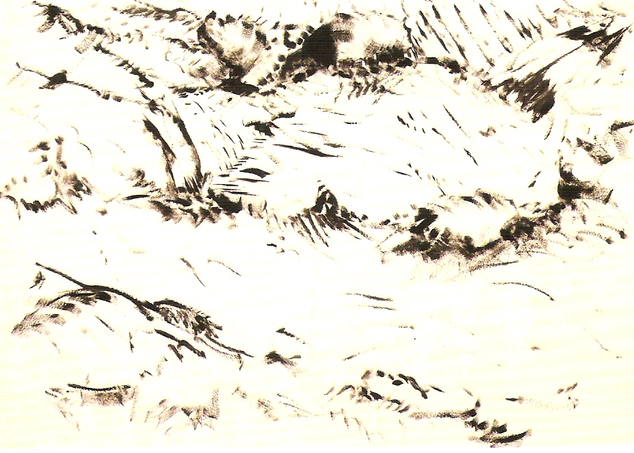 Acrílico sobre papel, 210x320 cm