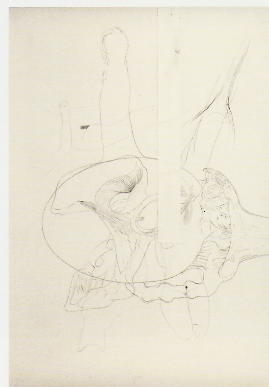 Tinta-da-china e Colagem s/papel
52x40cm
Tinta-da-china e Colagem s/papel
52x40cm