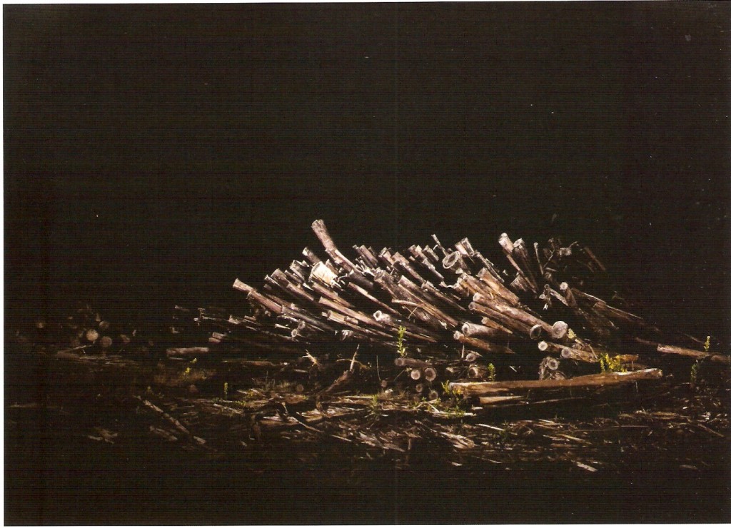 Impressão jacto de tinta sobre papel fine art, ed.3 +  P.A. , 153 x 103 cm