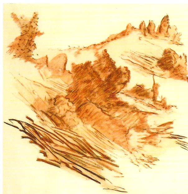 Aguarela sobre papel, 67x66 cm