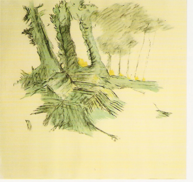 Aguarela sobre papel, 53x62 cm