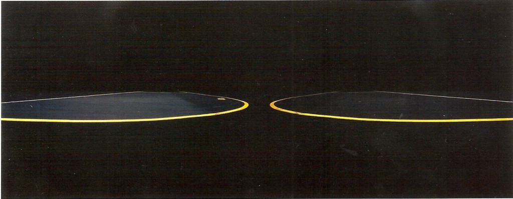 Prova por revelação cromogénea, colada sobre alumínio e diasec, 100  x 250 cm