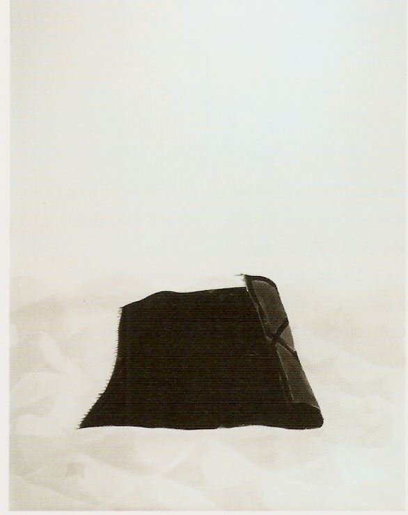 Tinta-da-china e acrílico sobre papel,
160x120cm