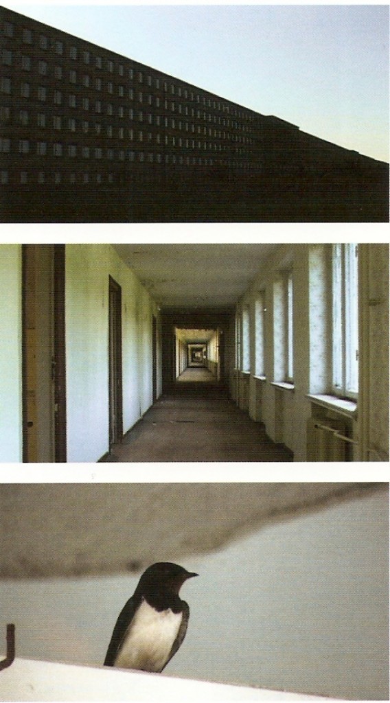 DVCAM transcrito para DVD, PAL, 16:9, cor, som, 6’42’’  (loop)