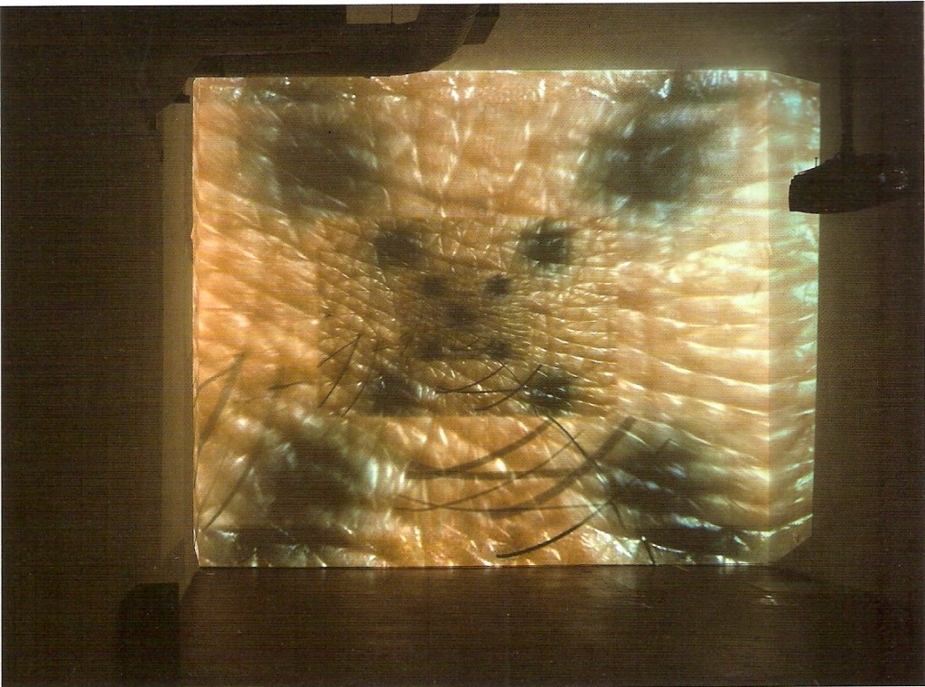 Projecção vídeo, cor, som mono / Video projection, colour, mono sound
Sem fim  / Endless
Ed.: 1/3