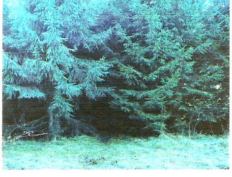 Lambda print s/ Diasec, C - Print s/ Diasec, 70 x 93 cm