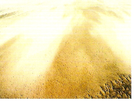 Lambda print s/ Diasec, C - Print s/ Diasec, 70 x 93 cm