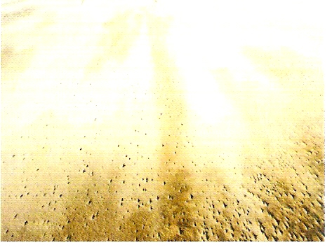 Lambda print s/ Diasec, C - Print s/ Diasec, 70 x 93 cm