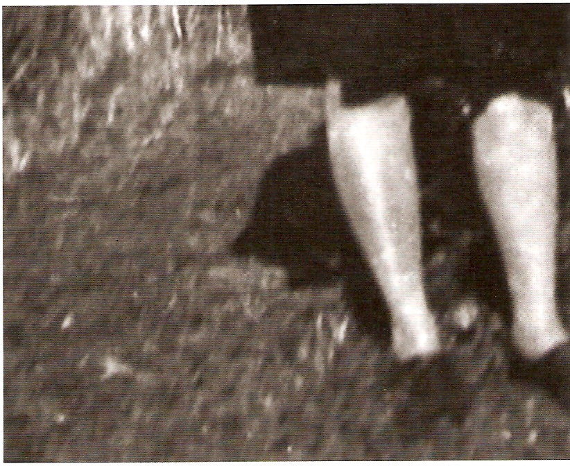 DV, PAL, imagem p/b, stereo, 7’