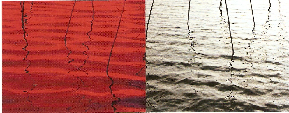 Impressão a jacto de tinta sobre papel fotográfico Epson,
Edição de 2 * IPA
100 x 255cm