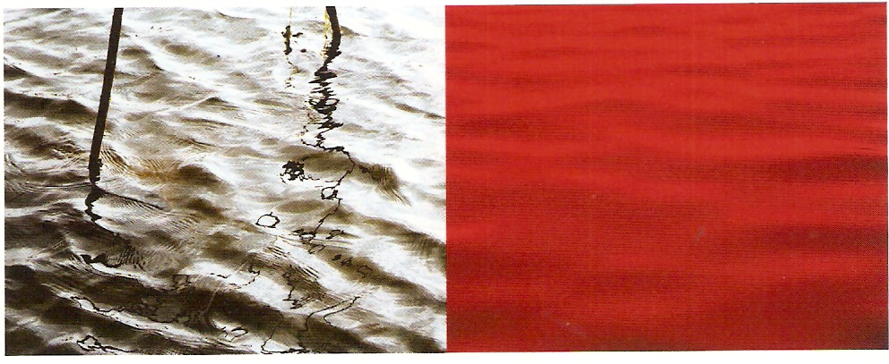 Impressão a jacto de tinta sobre papel fotográfico Epson,
Edição de 2 + IPA
100 x 255cm