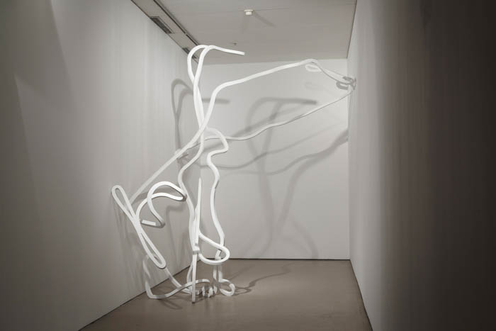 Contraplacado marítimo, tinta acrílica, 273 x 424 x 234 cm