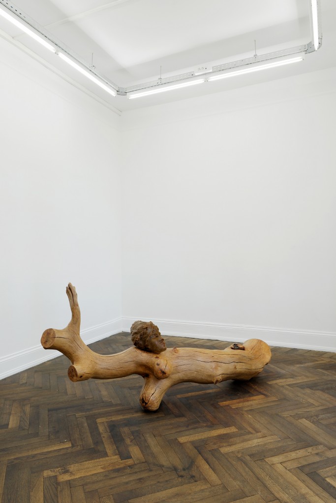 10_Musa paradisiaca_Alma-Bluco_CRAC Alsace