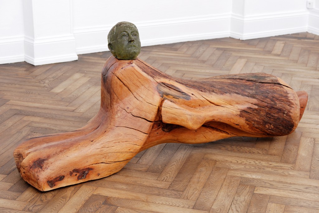 3_Musa paradisiaca_Alma-Bluco_CRAC Alsace