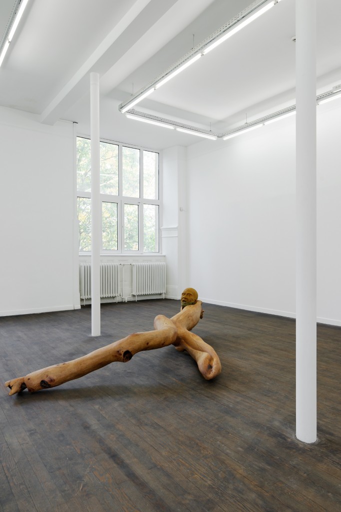 6_Musa paradisiaca_Alma-Bluco_CRAC Alsace