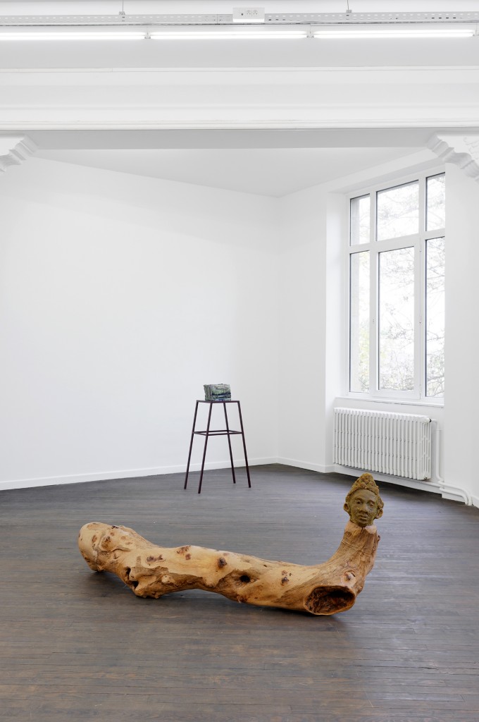 7_Musa paradisiaca_Alma-Bluco_CRAC Alsace