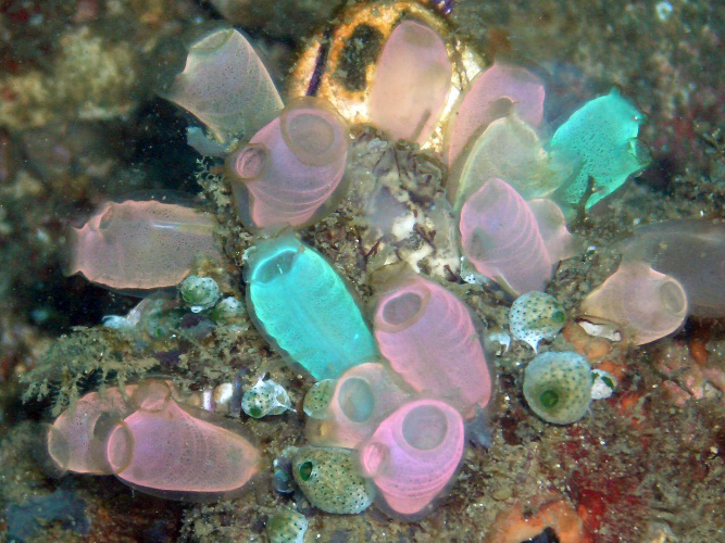 Screen Shot 2017-07-31 at 22.36.03